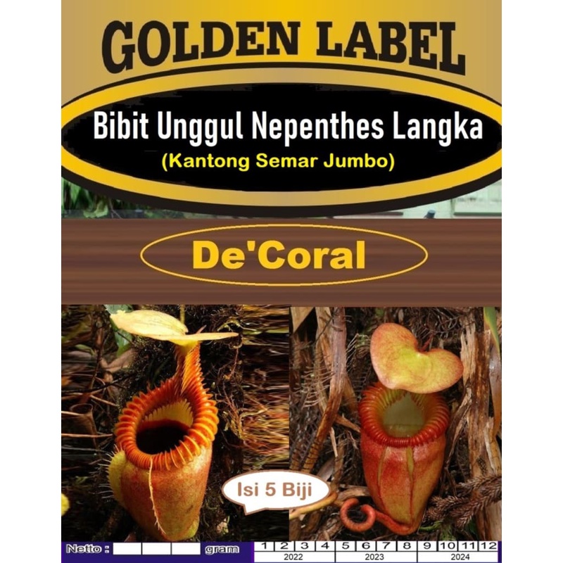 Bibit Unggul Nepenthes Tanaman Kantong Semar Jumbo | Benih Nepenthes