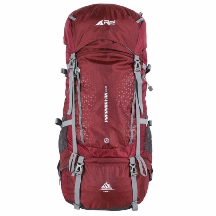 {Shop} AREI OUTDOORGEAR CARRIER KAPASITAS 60L PAPANDAYAN - TAS GUNUNG REI Limited
