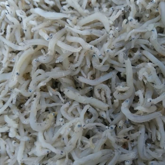 

ShumaShumamedan SOS Teri Nasi Medan Size Sedang Halus 500 gram EXPORT