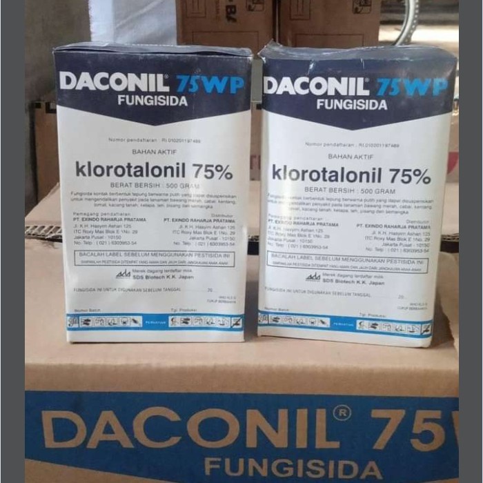 daconil 75 wp fungisida