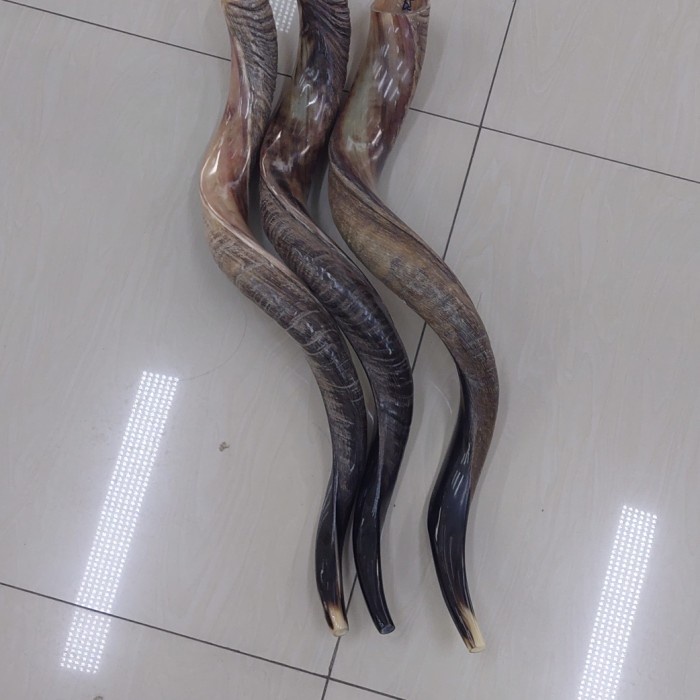 

✨Sale Shofar Yeminete Bisa Sameday