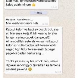 

Terlaris TEH DAUN KELOR ORIGINAL 100% MURNI TEH DAUN KELOR CELUP MORINGA DAUN KELOR DAUN KELOR MURNI TEH CELUP DAUN KELOR 100% Organik Anti-Kanker, Diabetes, Tingkatkan Imunitas dan Kekebalan Tubuh TEH HERBAL SUPLEMEN KESEHATAN KOLESTEROL DAN ASAM URAT