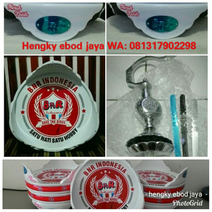 [New Ori] Tebok Bnr Limited