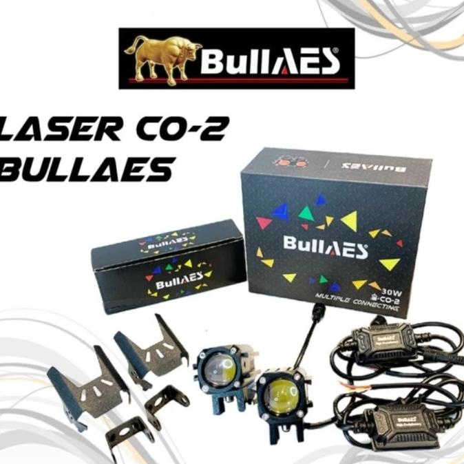 BULLAES LAMPU TEMBAK CO-2 MULTIPLE CONNECTING 30 WATT