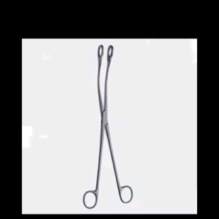 long kelly placenta kelly placenta -Tatasie