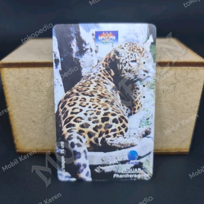 

Kartu Telpon Magnetic Telkom Indonesia Jaguar Phanthera onca