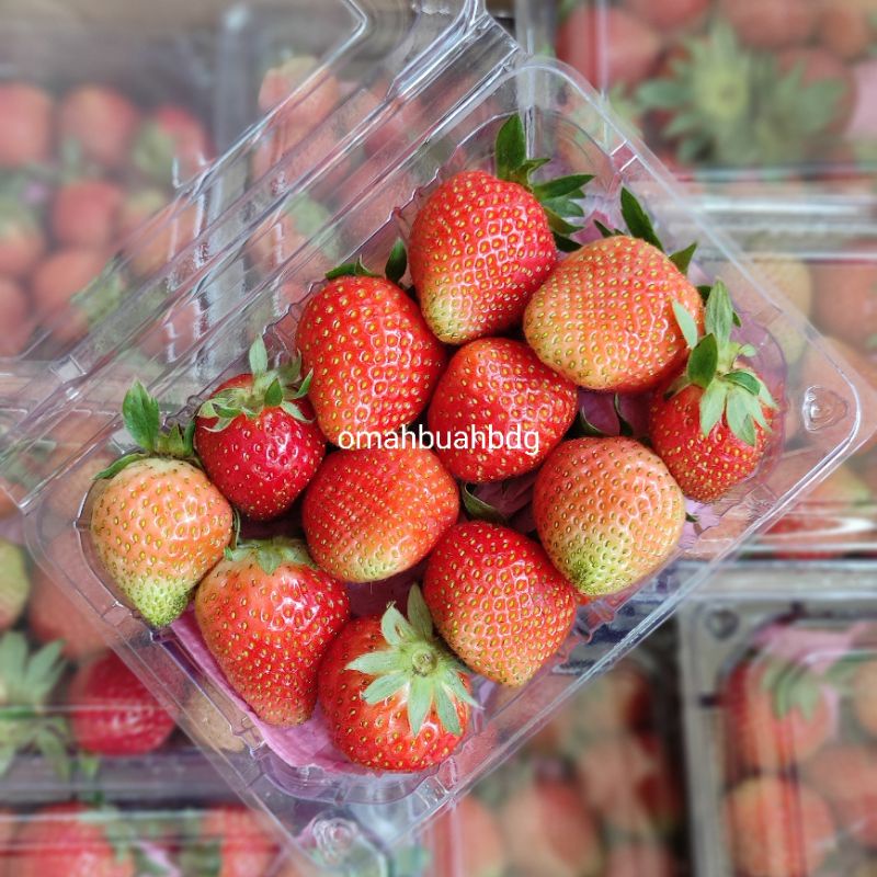 

strawberry