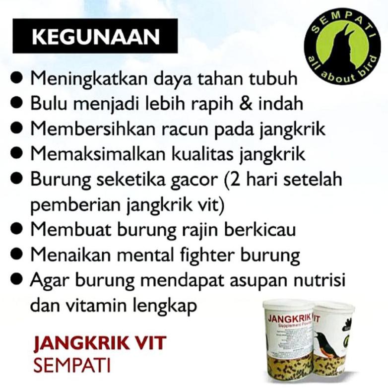 Baru BRAL BRUL pakan khusus burung murai burung Kacer indukan