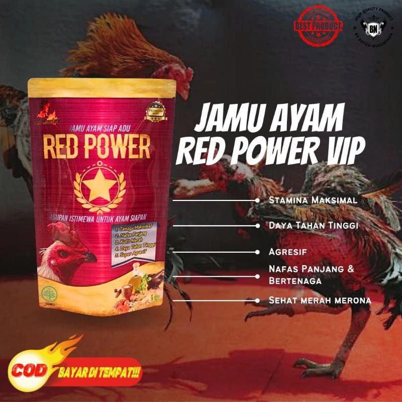 RED POWER Jamu ayam siapan super AGRESIF, mental dan tenaga FULL