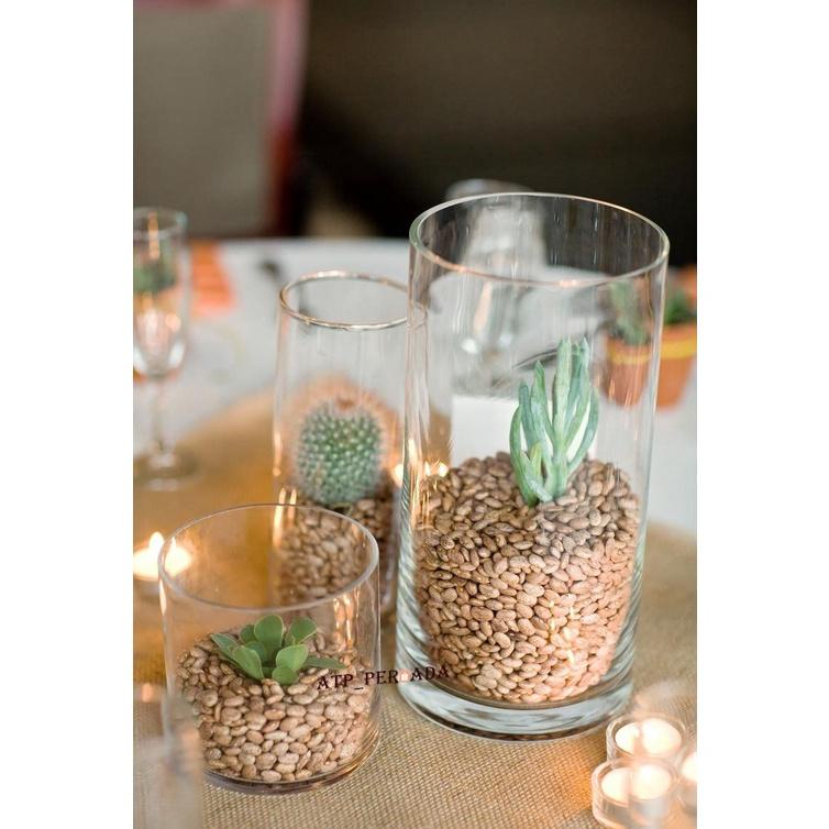 Sale Terrarium Kaktus Sukulen Hidup Mini Souvenir Tanaman Hias Bunga Cactus Sekulen Vas Gelas Kaca S