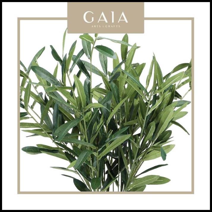 

TERBARU DAUN ZAITUN POTONG FRESH ASLI / OLIVE LEAVES IMPORT !!!!!