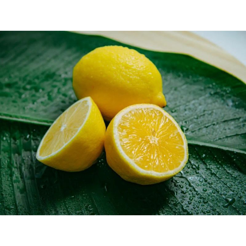 

jeruk lemon