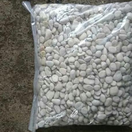 Batu Koral Putih Kecil - Batu Koral Putih Sikat