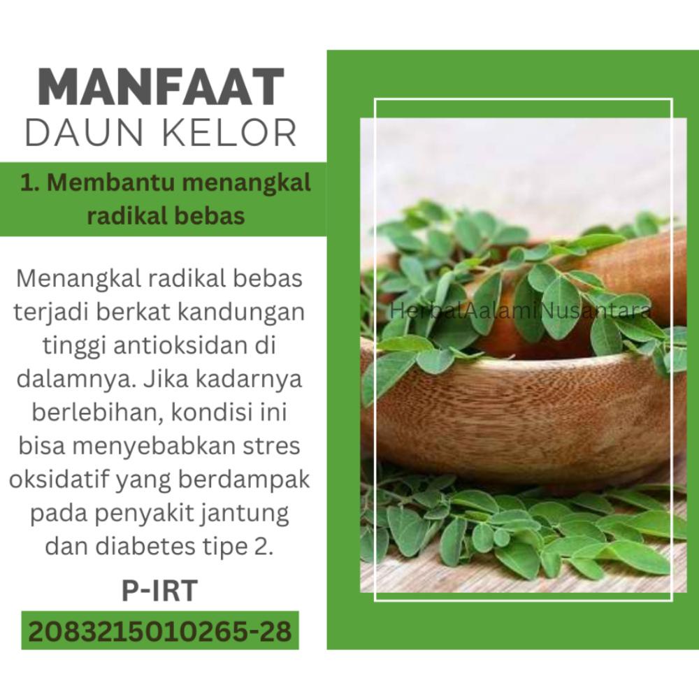 

Special TEH DAUN KELOR SEGAR ORIGINAL 100% MURNI TEH DAUN KELOR CELUP MORINGA DAUN KELOR DAUN KELOR KERING teh daun kelor