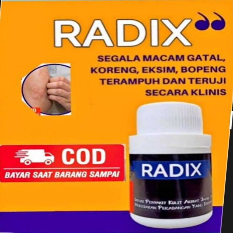 

RADIX OBAT EXSIM GATAL GATAL KORENG