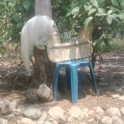 RAMBUT KUDA WARNA PUTIH