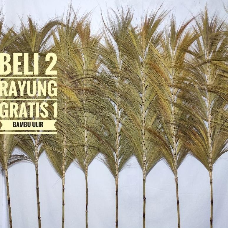 bEST sELLER Rayung Kering Rayung Panjang Rayung Natural Rayung Rustic Dekorasi Rustic Rayung Pampas 