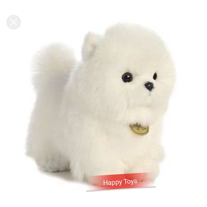 neka Anjing Pom Putih