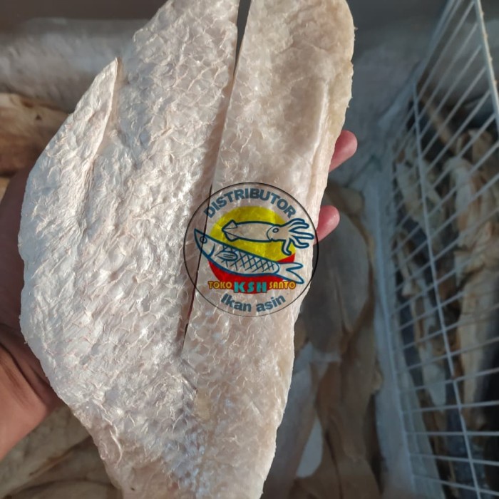 

Ikan Asin Kakap Merah Pilet 1Kg