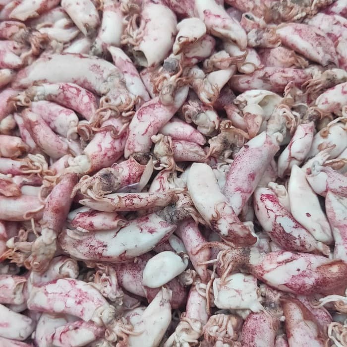 

Cumi Asin Kecil Baby 1Kg Ikan Asin Cumi 1 Kg