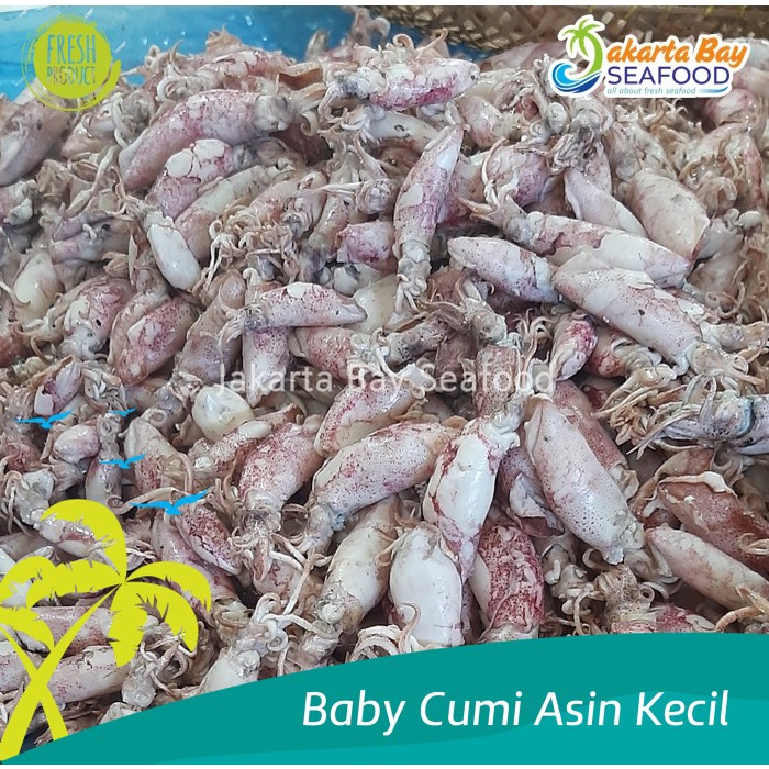 

Baby Cumi Asin Kecil Kering 70% Untuk Sambal Baby Cumi 500 Gr