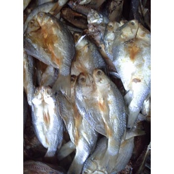 

Ikan Asin Belanak Khas Bangka Belitung 1 Kg