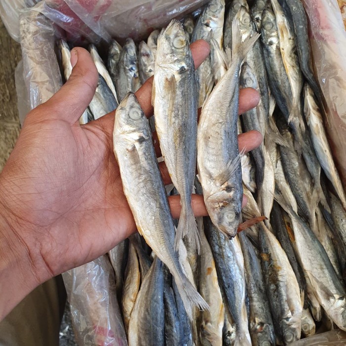 

Ikan Asin Layang 1Kg