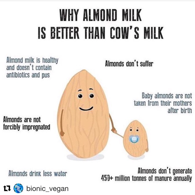 

Maja Almond Lk 1Liter (Pesan 1 Hari Sebelumnya)