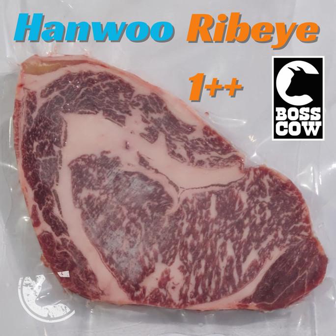 

Hanwoo Beef 1++ Korean Beef Ribeye Hanwoo Korea Purwinata