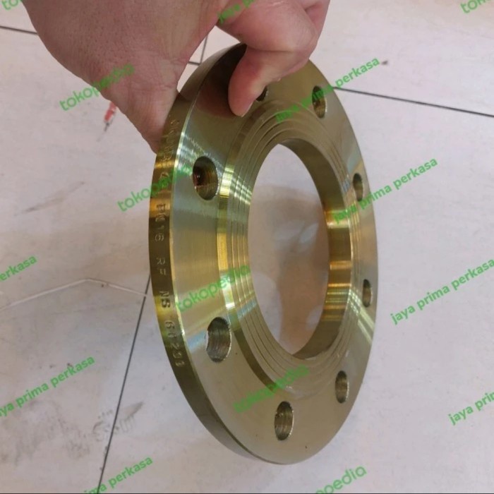 [Ori] Flange Carbon Steel Pn16 8 Inch / Flange Besi Pn 16 8Inch / Flange Cs Diskon