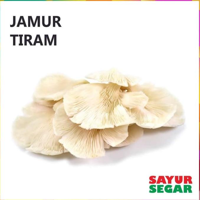 

Kekinian - Jamur Tiram 250G !