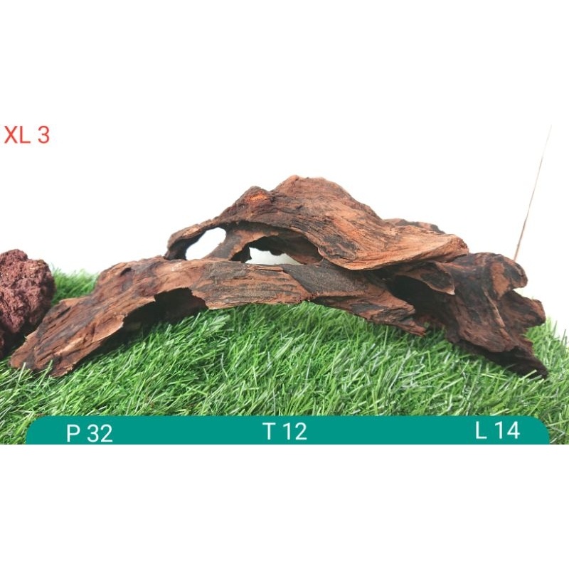 Kayu Rentek Aquascape Size Xl Sudah Tenggelam