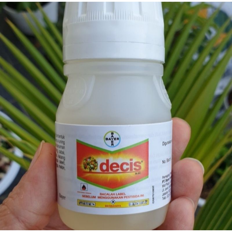 Insektisida DECIS - 50 Ml Obat pembasmi hama ulat kutu putih belalang