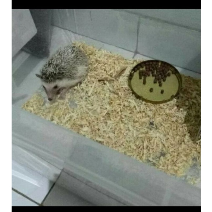 Serbuk Kayu Gergaji Kering Alas Ternak Hewan Peliharaan Hamster Landak