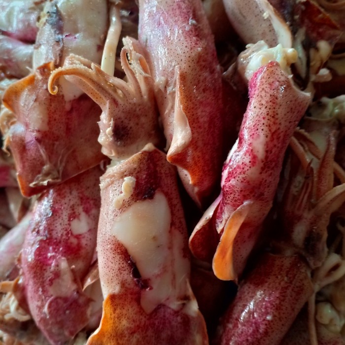 

ikan cumi asin per 10kg