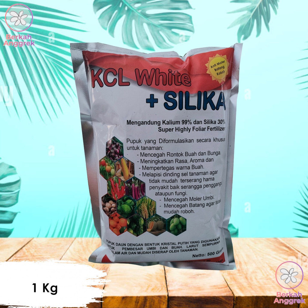 Kcl White Plus Silika 1 Kg Anti Rebah dan Moler Batang