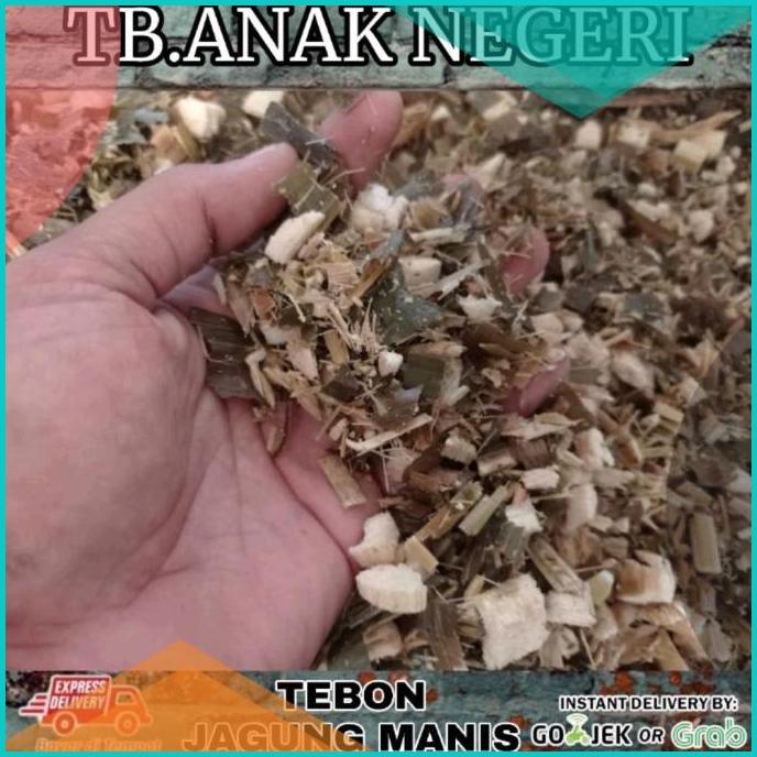 

pakan sapi kambing domba silase tebon jagung manis 16novz3 onderdil
