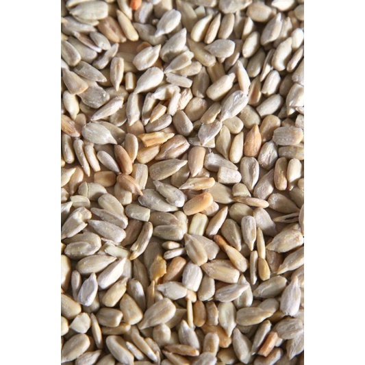 

Roasted Sunflower Seeds Biji Bunga Matahari Kuaci Panggang Celan Sehat Keto Debm 500Gr
