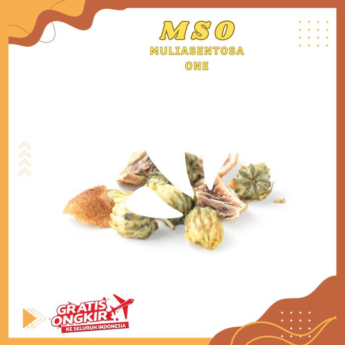 

CHRYSANT LEMON TEA BEST QUALITY PRODUCT !!