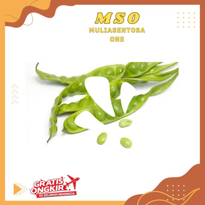 

PETAI 45 GR-50 GR PRODUK BEST PRODUK !!