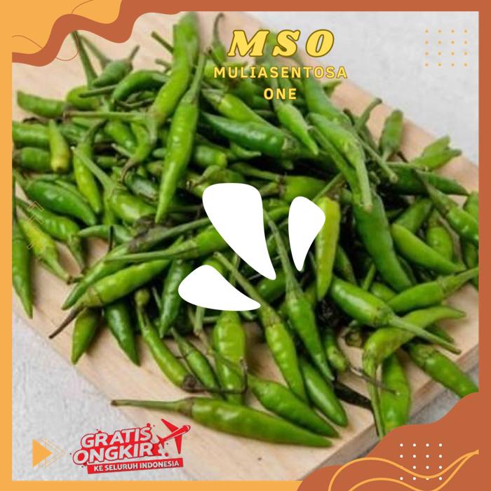 

CABAI RAWIT HIJAU 50 GR THE BEST SELLER !!