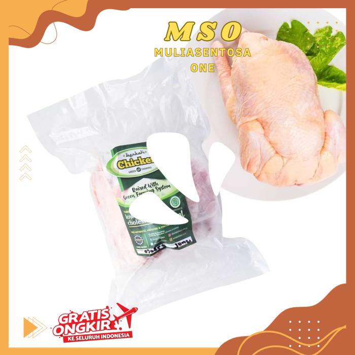 

FROZEN ORGANIC FREE RANGE CHICKEN / AYAM BEKU ORGANIK 700 - 800 GR PRODUK BEST PRODUK !!