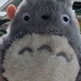 Dompet Totoro Pouch Purse Defect