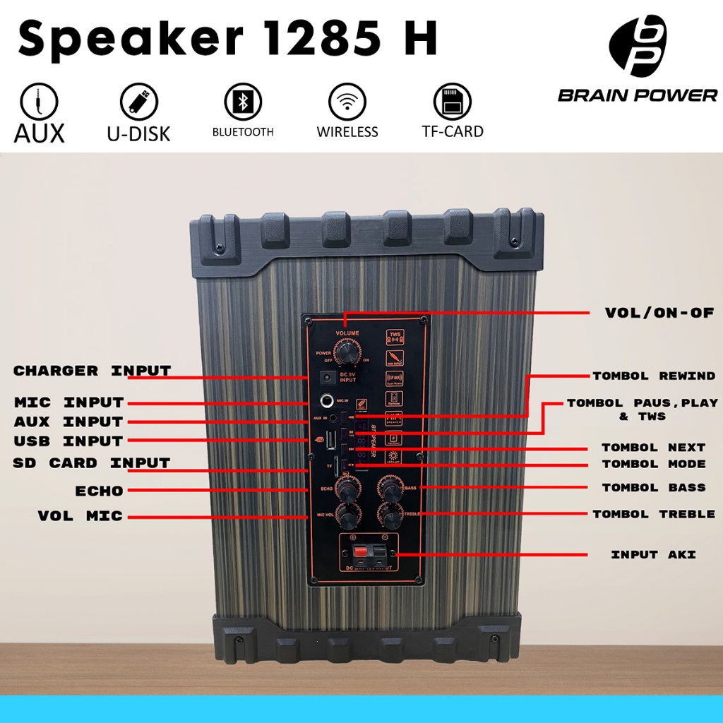 [ELECTROPICALLY] BRAIN POWER - KIMISO PORTABLE QS-1285H 6,5" INCH SQUARE FREE 2 MICROPHONE WIRELESS.