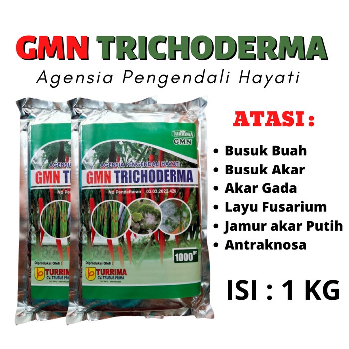 obat layu tanaman fusarium, pupuk GMN Tricoderma atasi tanaman layu