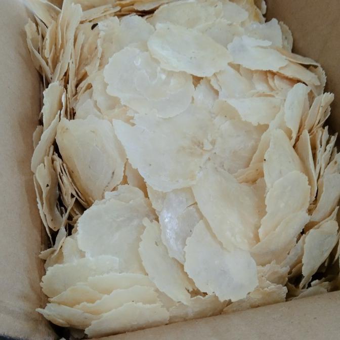 

TERBARU EMPING MELINJO 5KG/EMPING MELINJO MENTAH TIPIS !!!!!