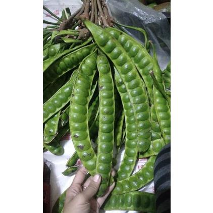 

Ready PETE SUPER SEGAR FRESS