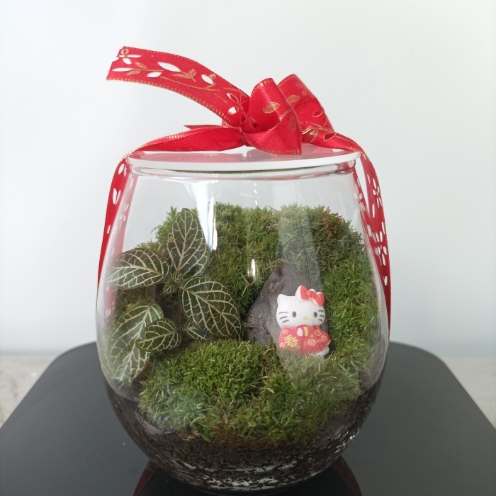 

New! TermuraH yuk!! hampers imlek 2023 Chinese New Year Terrarium Limited