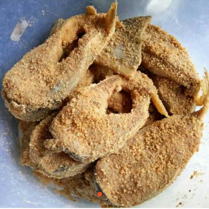 

favorit] iwak samu patin