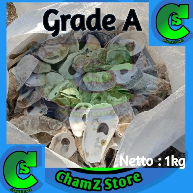 Oyster 1Kg / Media Filter Oyster Grade A / Oyster Shell